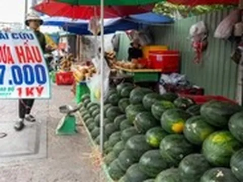Cam sành, dưa hấu, thanh long, xoài... rớt giá thê thảm, điểm bán đổ thành đống