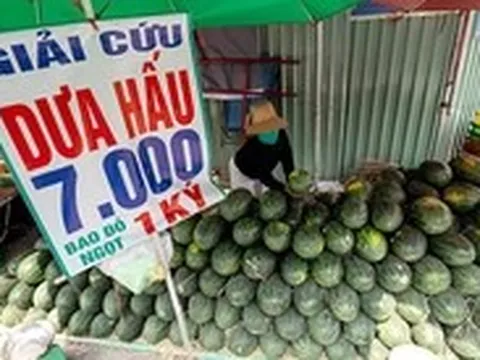 Giá trái cây rớt mạnh, nhiều nơi rao 'giải cứu'