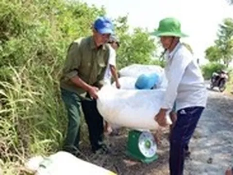 Cần giải pháp giảm 'giải cứu' nông sản