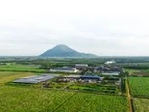 Công ty hạt nhân Tập đoàn TTC đăng ký bán ra hơn 43 triệu cổ phiếu SBT