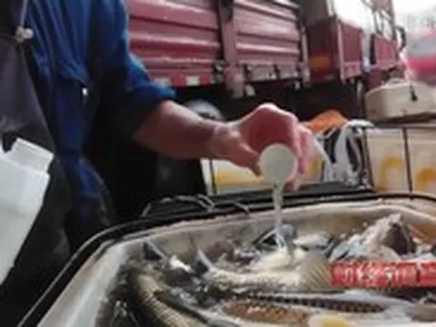 Trung Quốc: Phát hiện nhiều thương lái dùng hóa chất cho cá 'ngủ' khi vận chuyển