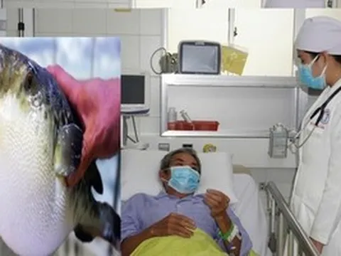 3 người ở Cần Thơ gặp nguy hiểm sau khi ăn canh chua cá nóc