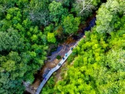 Việt Nam nhận khoảng 1.900 tỉ đồng để chi trả cho nỗ lực giảm phát thải từ rừng