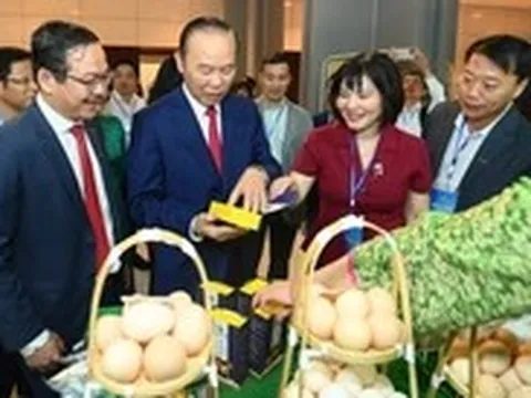 Xây dựng thương hiệu bò H’Mông thành đặc sản như Hanwoo của Hàn Quốc