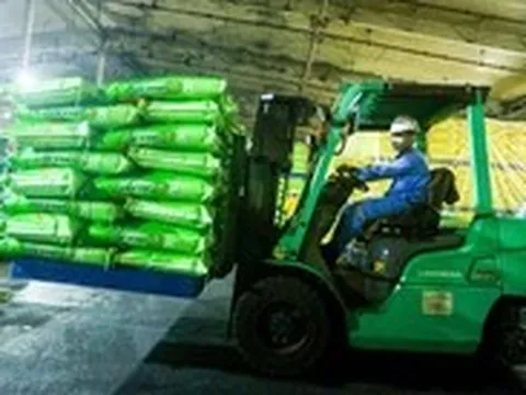 Đề nghị doanh nghiệp ưu tiên phân bón cho thị trường trong nước