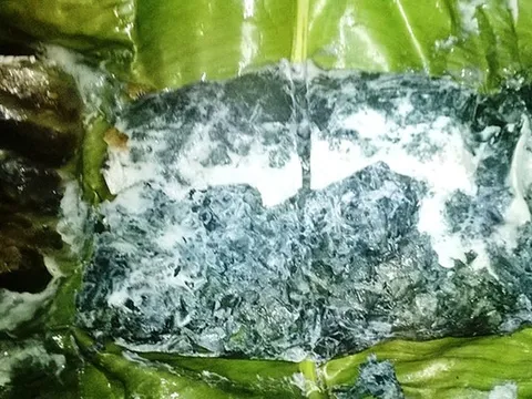 Loại lá mọc dại bờ rào được xem là "bảo bối" cho hệ tiêu hóa