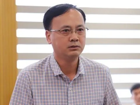 Vụ gần 300 tấn lợn bệnh 'tuồn' vào chợ, trường học: Bộ NN&MT lên tiếng