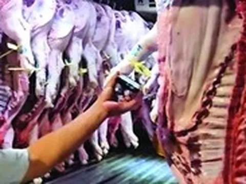 Bộ Y tế kiểm tra đột xuất bếp ăn tập thể tại Hà Nội và Ninh Bình