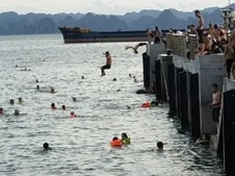 Bơi lội, làm mất trật tự công cộng trong khu vực cảng biển bị phạt tới 1 triệu đồng