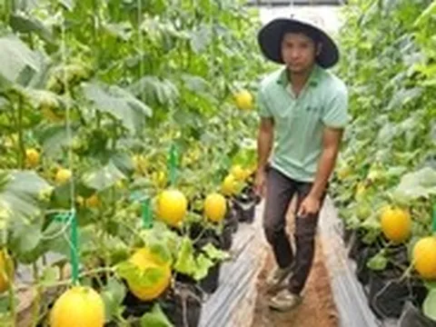 TP.HCM tổ chức cuộc thi đổi mới sáng tạo nông nghiệp, hỗ trợ tới 400 triệu đồng