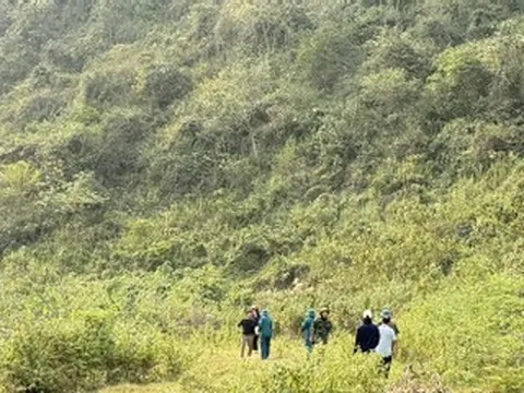 Tìm thấy thi thể thợ điêu khắc lăng mộ sau gần 4 ngày mất tích