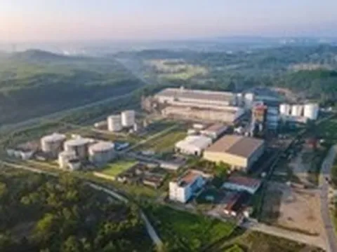 Nhà máy nhiên liệu sinh học Dung Quất sắp chạy tối đa, sẵn nguồn cho xăng E10
