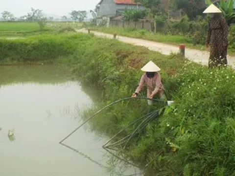 Người dân dùng nước ao hồ để sinh hoạt giữa nắng nóng gay gắt