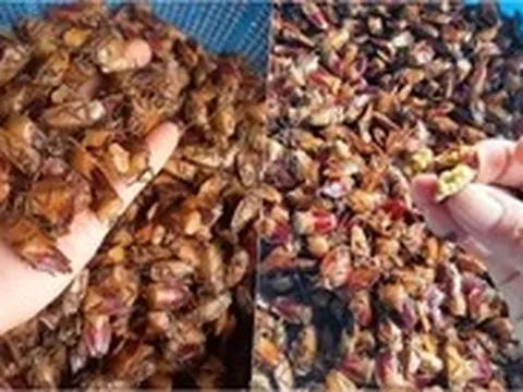 'Đặc sản' mua theo mạng xã hội: Từ tò mò dễ trở thành rủi ro sức khỏe