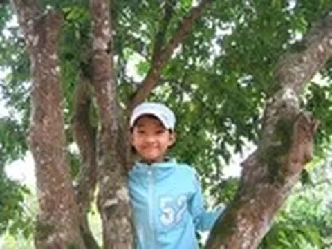 Những kỷ vật thân thương còn lại - Kỳ 9: Cây khế của cha tôi