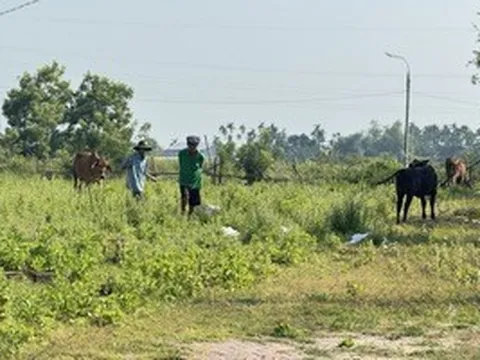 Dự án khu dân cư 186 tỉ "mắc cạn" bên sông Vệ gần chục năm