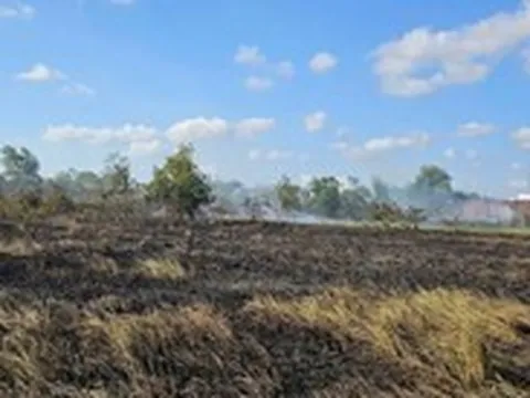 Đi đốt đồng cùng chồng, một phụ nữ ở Cần Thơ tử vong nghi do ngạt khói