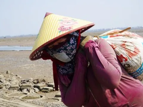 Những người phụ nữ 'cõng' ốc dưới cái nắng gần 40 độ C ở ven biển Hà Tĩnh