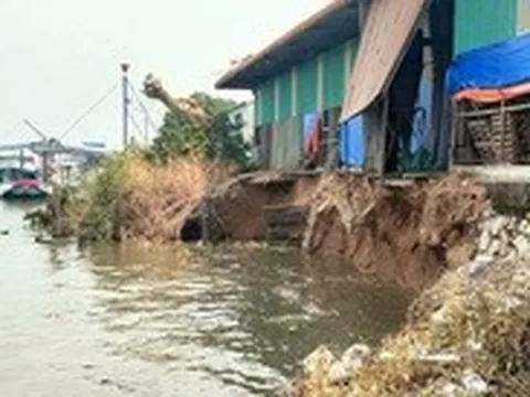 Sạt lở bờ sông Hậu dài 50m, ăn sâu vào bờ 8m, di dời 660 tấn gạo