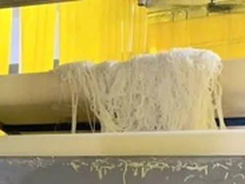 Cơ sở bún 70m² ở TP.HCM kêu cứu trước án phạt 552 triệu đồng: Đơn vị xử phạt nói gì?