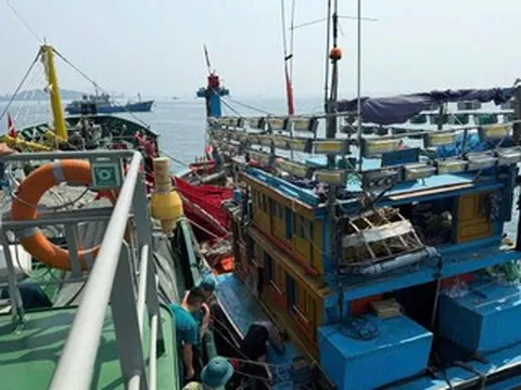 Tàu gặp nạn giữa biển, 12 người phát tín hiệu cầu cứu