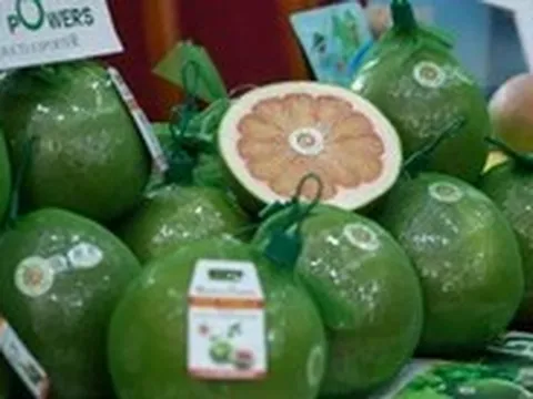 Những loại trái cây ngon và tốt cho người muốn giảm cân