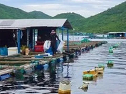 Yêu cầu di dời lồng bè nuôi thủy sản khỏi vịnh Vũng Rô