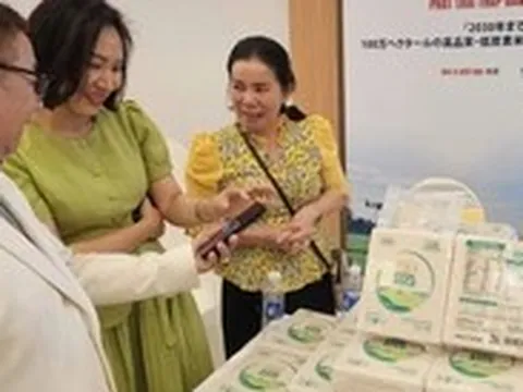 Cà Mau mời các tỉnh, thành Đồng bằng sông Cửu Long thi ‘gạo ngon’