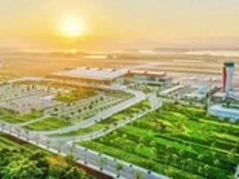 Sếu đầu đàn trong công cuộc chinh phục bầu trời