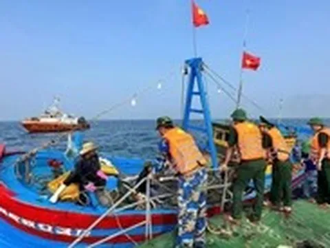 Vì sao EC chưa gỡ 'thẻ vàng' cho thủy sản Việt Nam?