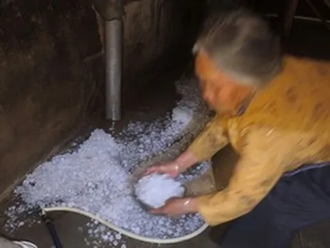 VIDEO: Chị gái nhanh trí ôm em nhỏ lao khỏi giường khi mưa đá ầm ầm dội xuống