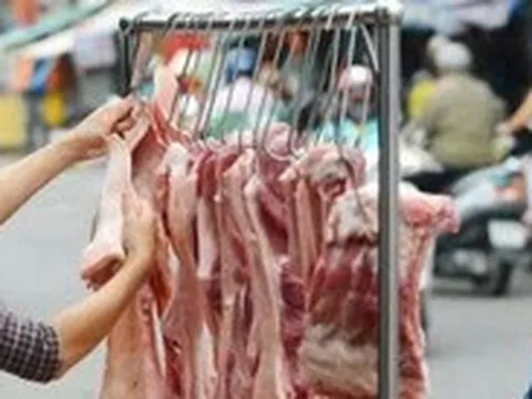 Sốc nhiễm khuẩn, suy đa tạng vì nhiễm liên cầu lợn sau khi chế biến thịt heo sống