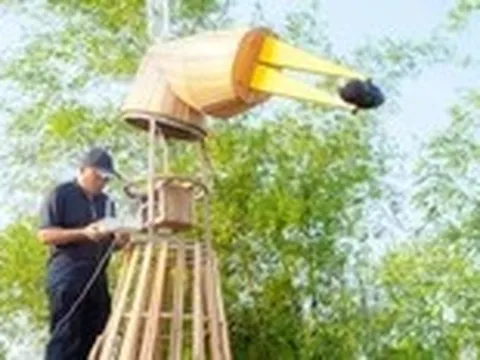 Trạm AI nghe chim kể chuyện: trải nghiệm lạ ở Đà Nẵng