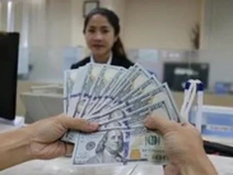 Kiều hối chuyển về TP.HCM bất ngờ đi xuống