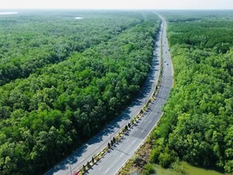 TPHCM: Dừng 7 dự án nhỏ lẻ để nghiên cứu mở rộng đường Rừng Sác lên 10 làn xe