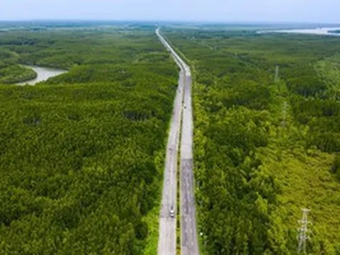 TPHCM: Nghiên cứu mở rộng đường Rừng Sác lên 8 làn xe