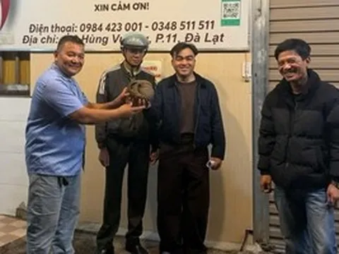 Chủ quán ăn ở Đà Lạt bất ngờ phát hiện 1 con vật quý hiếm bò vào quán