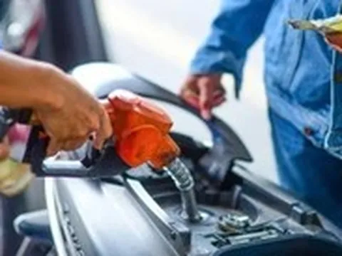 Nhiều doanh nghiệp đầu mối xăng dầu bị phạt do vi phạm dự trữ