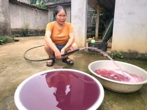 Vụ nước giếng màu tím: Công ty gây ô nhiễm phải tạm dừng hoạt động ngay