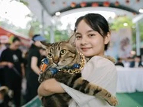 Người trẻ chi đậm để nuôi chó, mèo như 'em bé', 'con cưng', nhiều cảnh báo đi kèm