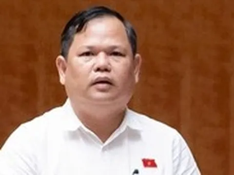 Đại biểu Quốc hội đề xuất ngưỡng doanh thu miễn thuế của hộ kinh doanh nâng lên 3 tỉ đồng