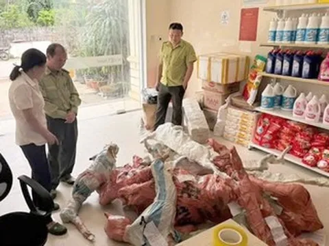Tạm giữ 15 phôi cây muội hồng được tập kết tại bưu điện xã ở Thanh Hóa