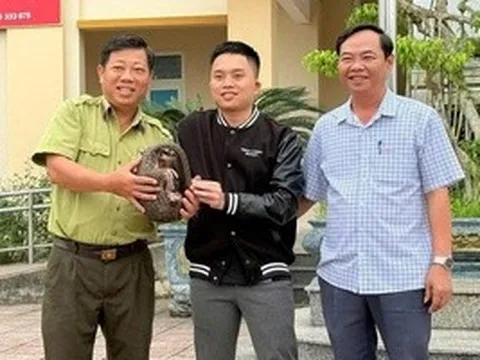 Phát hiện con vật quý hiếm cuộn mình bên vệ đường lúc sáng sớm