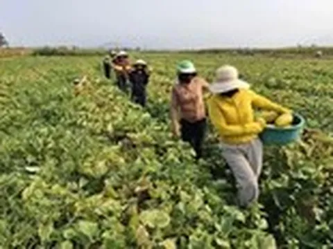Nhà không cần khóa cửa, hàng xóm mang qua mang lại tô canh nóng, thời đó đã thành xa xưa?