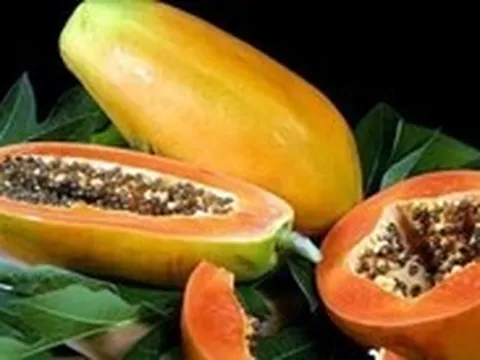 Những trái cây chứa nhiều dinh dưỡng, hỗ trợ sức khỏe hệ tiêu hóa