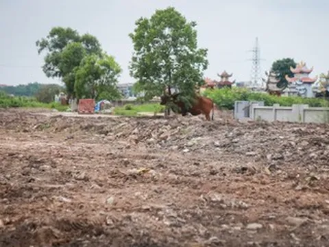 Bãi rác tự phát 20 năm sát nghĩa trang ở Ninh Bình đã được dọn dẹp