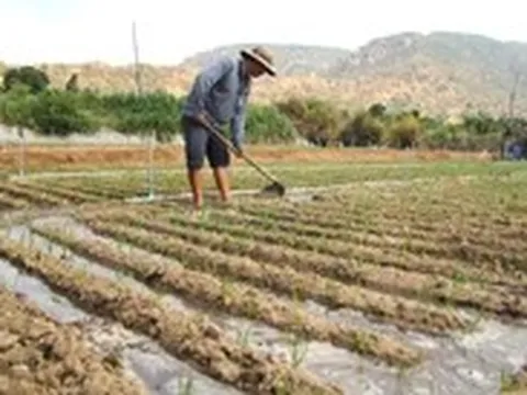 Nước về 'rốn hạn', hồi sinh vùng đất khát ở Ninh Thuận