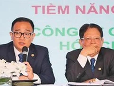 Lợi nhuận Hóa chất Đức Giang 'bốc hơi' mạnh sau khi lãnh đạo bị bắt