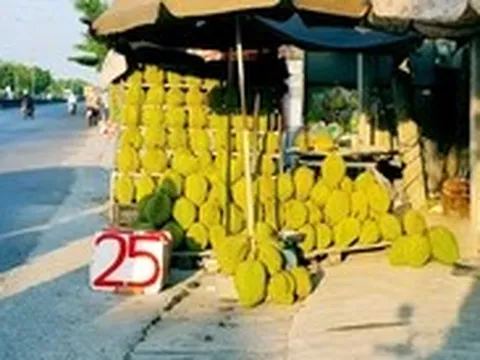 Sầu riêng rớt giá, bày bán đầy đường chỉ từ 25.000 đồng/kg