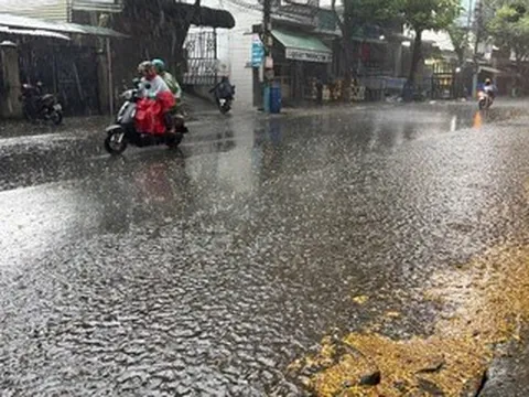 TPHCM đón 'mưa vàng' hạ nhiệt sau chuỗi ngày nắng nóng kỷ lục